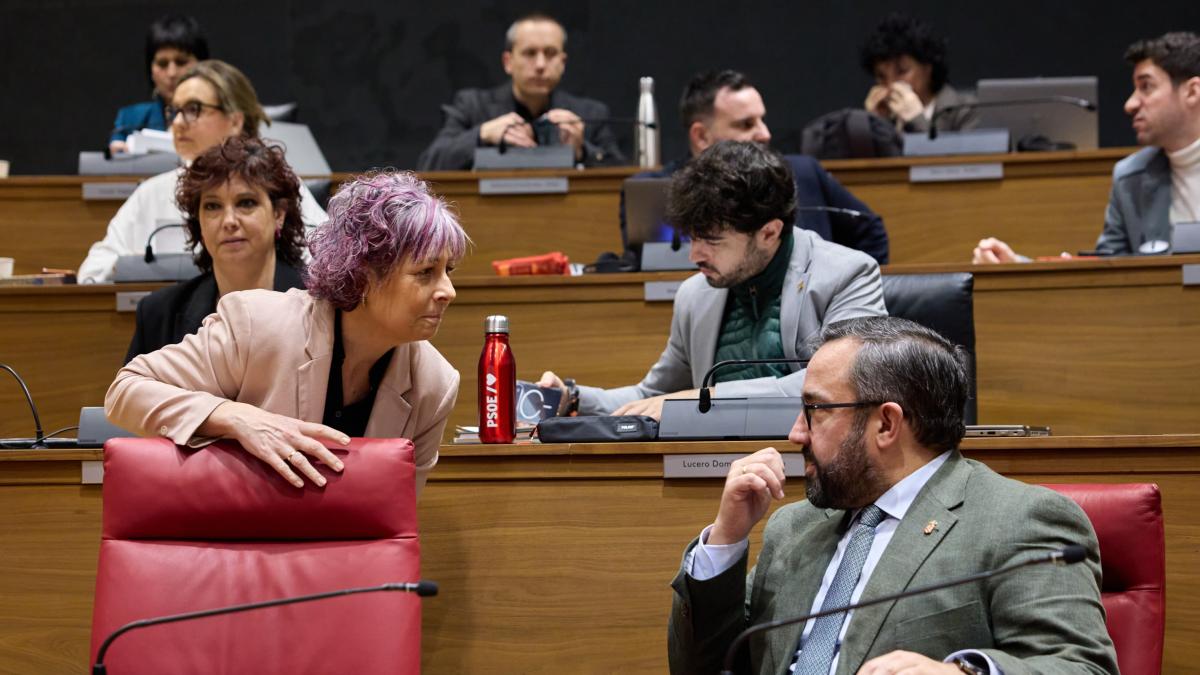 Gobierno de Navarra, Policía Foral, Osasunbidea, Pamplona, Tudela, Parlamento de Navarra, sucesos Navarra