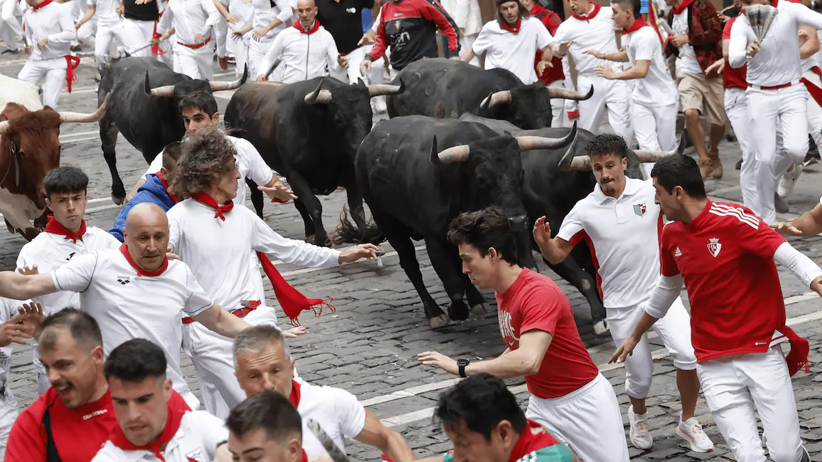 San Fermín Miura Estafeta