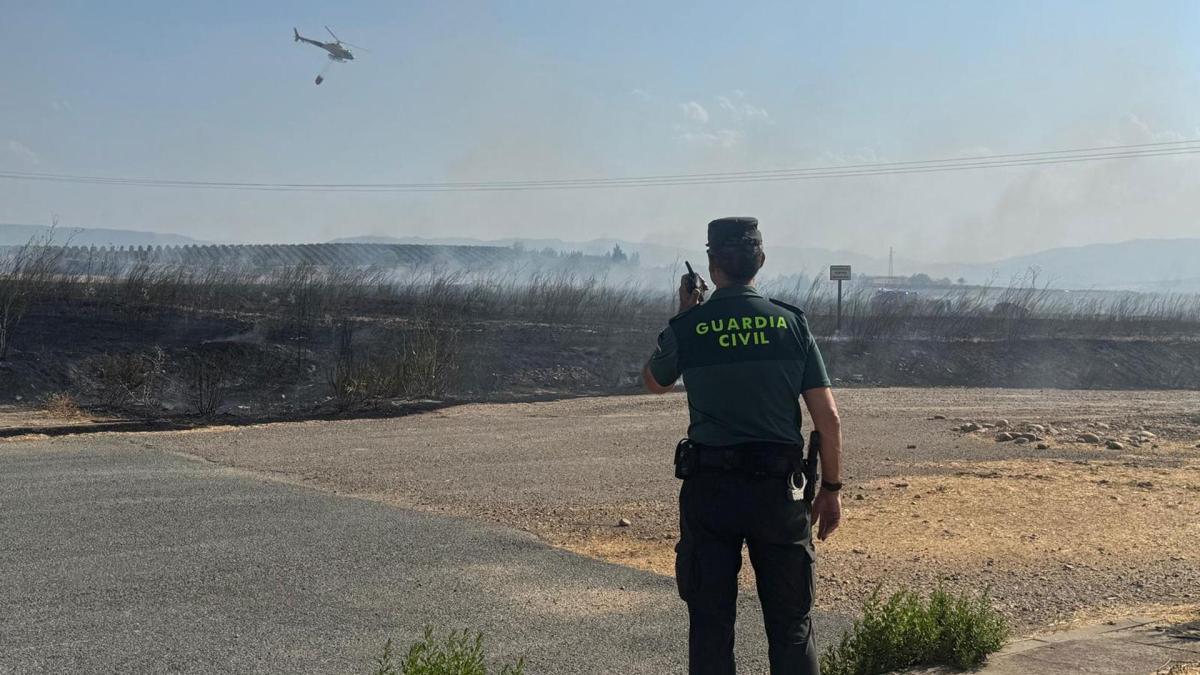 Incendio en Navarra arrasa una hectárea de pinar y vegetación junto a suelo industrial en la zona de Alberguería de Viana